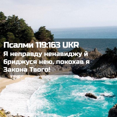 Picture 02 - Псалми 119:163 UKR - Я неправду ненавиджу й - Bible Verse Picture