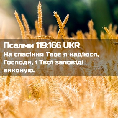 Picture 02 - Псалми 119:166 UKR - На спасіння Твоє я надіюся, - Bible Verse Picture
