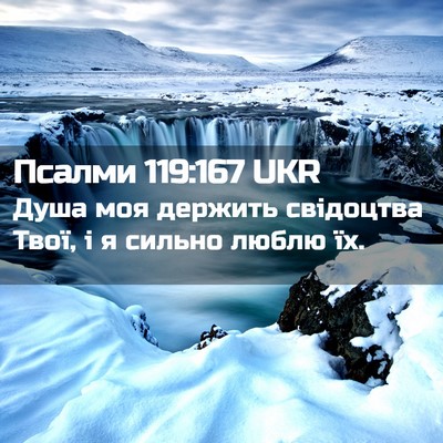 Picture 02 - Псалми 119:167 UKR - Душа моя держить свідоцтва - Bible Verse Picture
