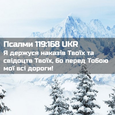 Picture 02 - Псалми 119:168 UKR - Я держуся наказів Твоїх та - Bible Verse Picture