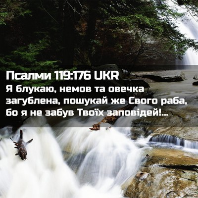 Picture 02 - Псалми 119:176 UKR - Я блукаю, немов та овечка - Bible Verse Picture