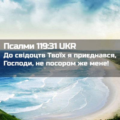 Picture 02 - Псалми 119:31 UKR - До свідоцтв Твоїх я - Bible Verse Picture