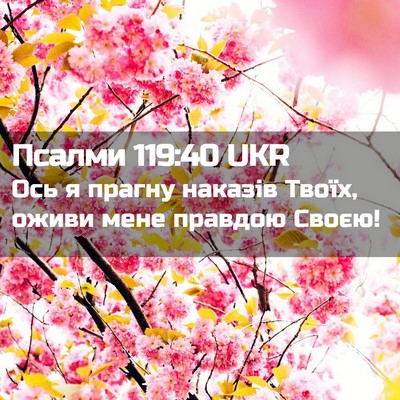 Picture 02 - Псалми 119:40 UKR - Ось я прагну наказів Твоїх, - Bible Verse Picture
