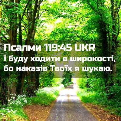 Picture 02 - Псалми 119:45 UKR - і буду ходити в широкості, - Bible Verse Picture