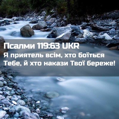 Picture 02 - Псалми 119:63 UKR - Я приятель всім, хто - Bible Verse Picture