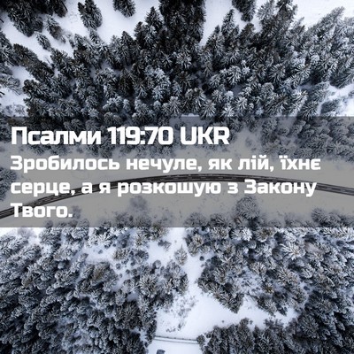 Picture 02 - Псалми 119:70 UKR - Зробилось нечуле, як лій, - Bible Verse Picture