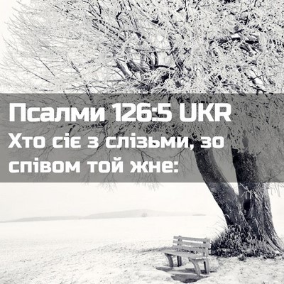 Picture 02 - Псалми 126:5 UKR - Хто сіє з слізьми, зо - Bible Verse Picture