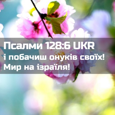 Picture 02 - Псалми 128:6 UKR - і побачиш онуків своїх! Мир - Bible Verse Picture