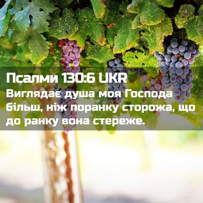 Picture 02 - Псалми 130:6 UKR - Виглядає душа моя Господа - Bible Verse Picture