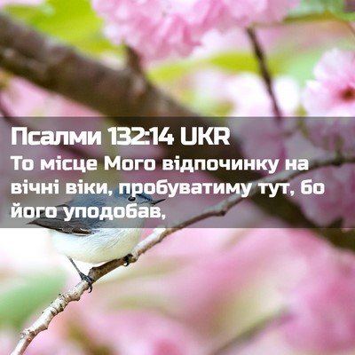 Picture 02 - Псалми 132:14 UKR - То місце Мого відпочинку - Bible Verse Picture