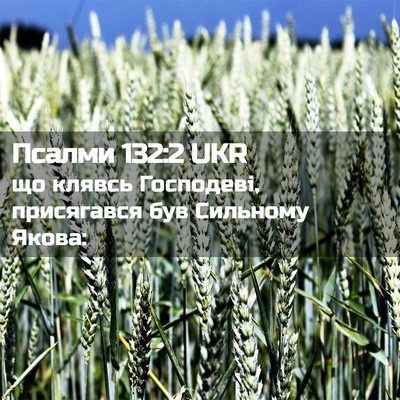 Picture 02 - Псалми 132:2 UKR - що клявсь Господеві, - Bible Verse Picture