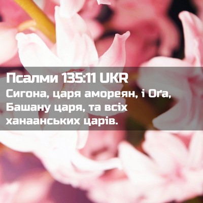 Picture 02 - Псалми 135:11 UKR - Сигона, царя амореян, і Оґа, - Bible Verse Picture