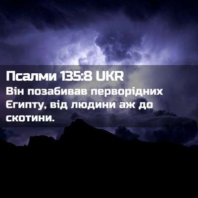 Picture 02 - Псалми 135:8 UKR - Він позабивав перворідних - Bible Verse Picture
