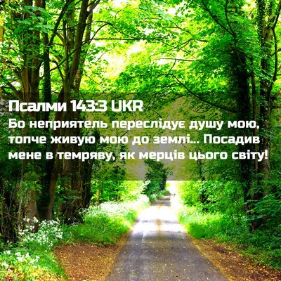 Picture 02 - Псалми 143:3 UKR - Бо неприятель переслідує - Bible Verse Picture