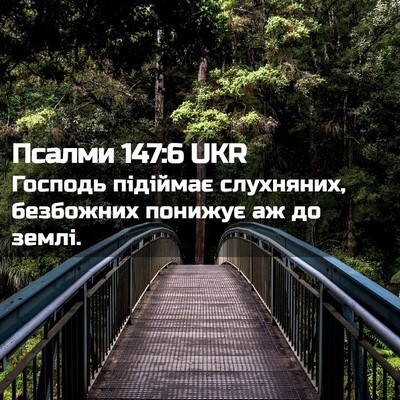 Picture 02 - Псалми 147:6 UKR - Господь підіймає - Bible Verse Picture
