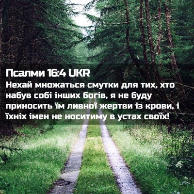 Picture 02 - Псалми 16:4 UKR - Нехай множаться смутки для - Bible Verse Picture