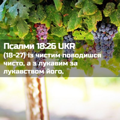 Picture 02 - Псалми 18:26 UKR - (18-27) із чистим поводишся - Bible Verse Picture