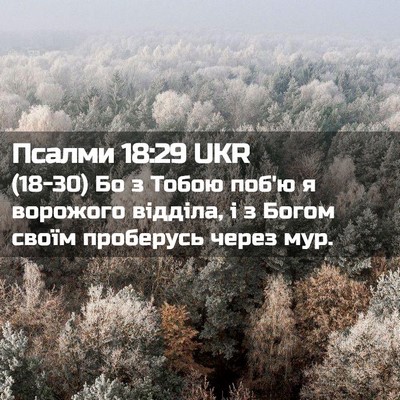 Picture 02 - Псалми 18:29 UKR - (18-30) Бо з Тобою поб'ю я - Bible Verse Picture