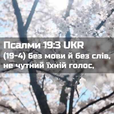 Picture 02 - Псалми 19:3 UKR - (19-4) без мови й без слів, не - Bible Verse Picture