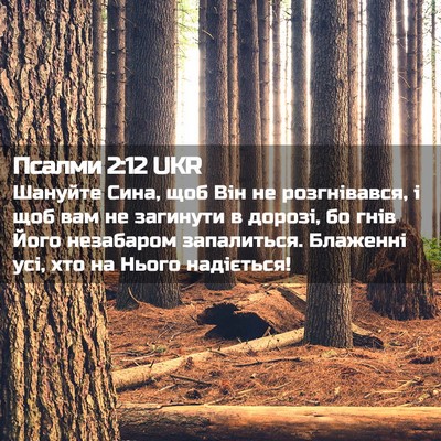 Picture 02 - Псалми 2:12 UKR - Шануйте Сина, щоб Він не - Bible Verse Picture