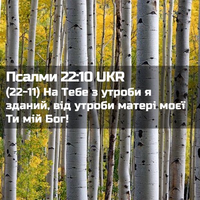 Picture 02 - Псалми 22:10 UKR - (22-11) На Тебе з утроби я - Bible Verse Picture