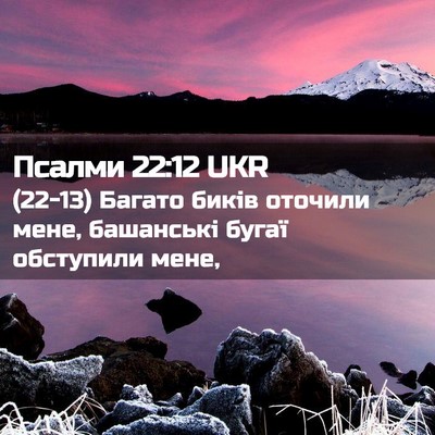 Picture 02 - Псалми 22:12 UKR - (22-13) Багато биків оточили - Bible Verse Picture