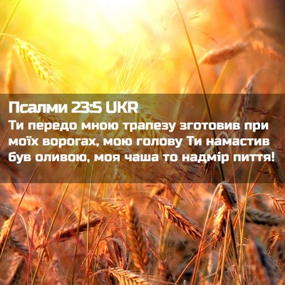 Picture 02 - Псалми 23:5 UKR - Ти передо мною трапезу - Bible Verse Picture
