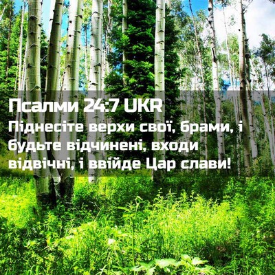 Picture 02 - Псалми 24:7 UKR - Піднесіте верхи свої, - Bible Verse Picture