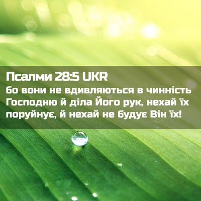 Picture 02 - Псалми 28:5 UKR - бо вони не вдивляються в - Bible Verse Picture