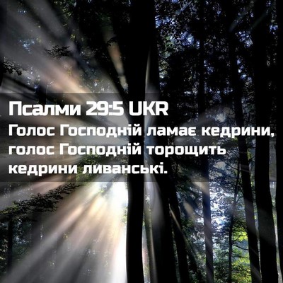 Picture 02 - Псалми 29:5 UKR - Голос Господній ламає - Bible Verse Picture