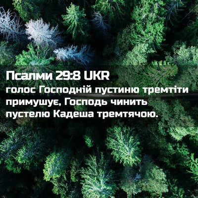 Picture 02 - Псалми 29:8 UKR - голос Господній пустиню - Bible Verse Picture