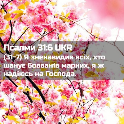 Picture 02 - Псалми 31:6 UKR - (31-7) Я зненавидив всіх, хто - Bible Verse Picture