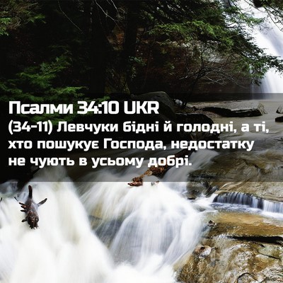 Picture 02 - Псалми 34:10 UKR - (34-11) Левчуки бідні й - Bible Verse Picture