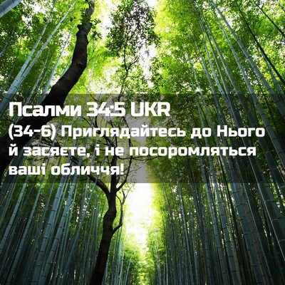 Picture 02 - Псалми 34:5 UKR - (34-6) Приглядайтесь до Нього - Bible Verse Picture