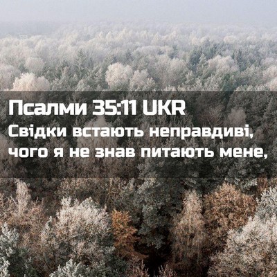 Picture 02 - Псалми 35:11 UKR - Свідки встають неправдиві, - Bible Verse Picture