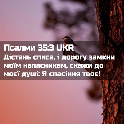 Picture 02 - Псалми 35:3 UKR - Дістань списа, і дорогу - Bible Verse Picture