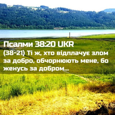 Picture 02 - Псалми 38:20 UKR - (38-21) Ті ж, хто відплачує - Bible Verse Picture
