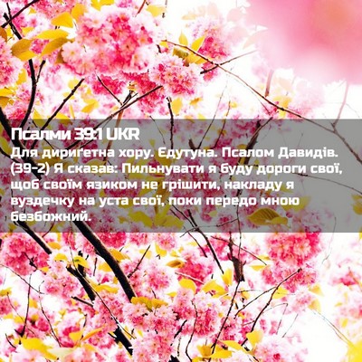 Picture 02 - Псалми 39:1 UKR - Для дириґетна хору. - Bible Verse Picture