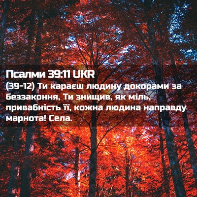 Picture 02 - Псалми 39:11 UKR - (39-12) Ти караєш людину - Bible Verse Picture