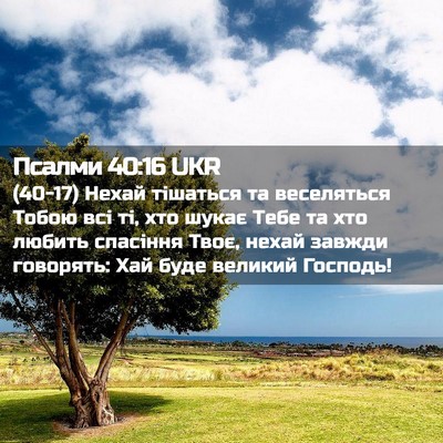 Picture 02 - Псалми 40:16 UKR - (40-17) Нехай тішаться та - Bible Verse Picture