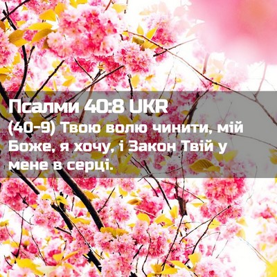 Picture 02 - Псалми 40:8 UKR - (40-9) Твою волю чинити, мій - Bible Verse Picture