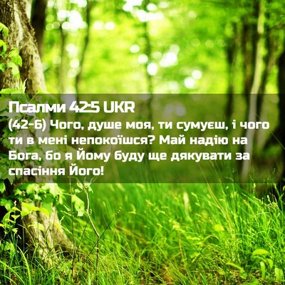 Picture 02 - Псалми 42:5 UKR - (42-6) Чого, душе моя, ти - Bible Verse Picture