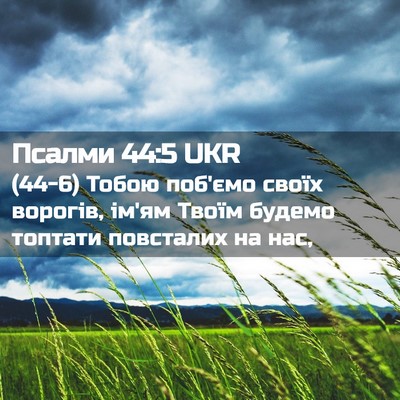 Picture 02 - Псалми 44:5 UKR - (44-6) Тобою поб'ємо своїх - Bible Verse Picture