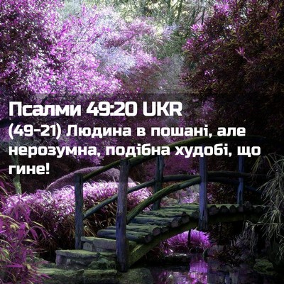 Picture 02 - Псалми 49:20 UKR - (49-21) Людина в пошані, але - Bible Verse Picture