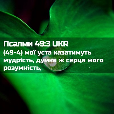 Picture 02 - Псалми 49:3 UKR - (49-4) мої уста казатимуть - Bible Verse Picture