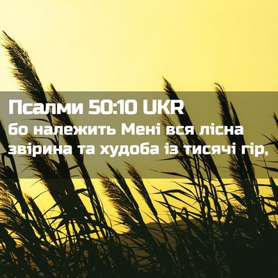 Picture 02 - Псалми 50:10 UKR - бо належить Мені вся лісна - Bible Verse Picture