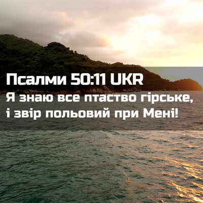 Picture 02 - Псалми 50:11 UKR - Я знаю все птаство гірське, - Bible Verse Picture