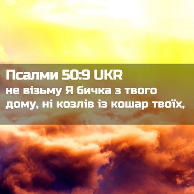 Picture 02 - Псалми 50:9 UKR - не візьму Я бичка з твого - Bible Verse Picture