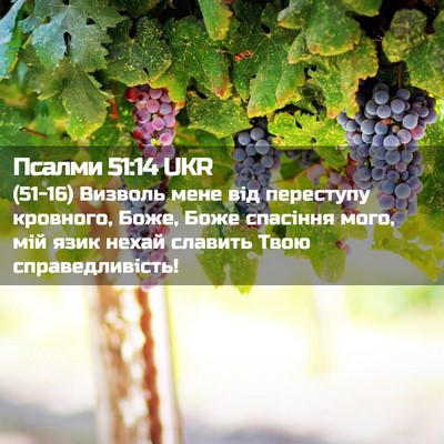 Picture 02 - Псалми 51:14 UKR - (51-16) Визволь мене від - Bible Verse Picture