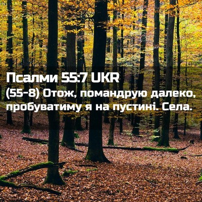 Picture 02 - Псалми 55:7 UKR - (55-8) Отож, помандрую далеко, - Bible Verse Picture